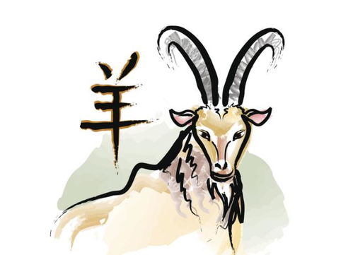 2026年属羊女每月感情运势及运程具体是怎样的？