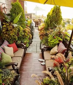 三、 植物的力量：绿油油的好心情