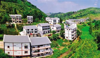 一、这山是咱的？象山承包山的开端