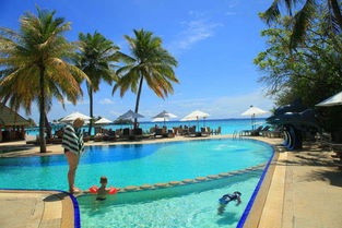 活动与交通预算：从付费到免费