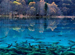 绵阳出发，九寨沟、川西、成都周边游，5大爆款路线推荐！