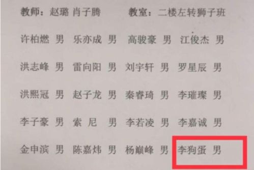 2026年三藏姓名与缘分，我的名字与2026年运势有何关联？