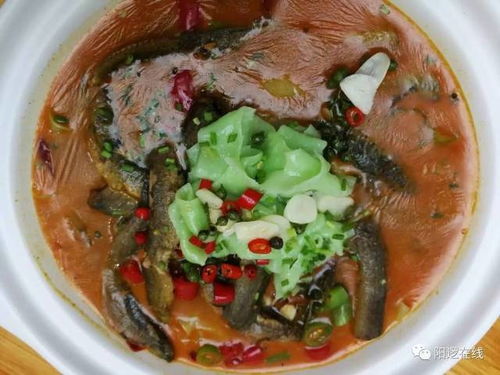 柴火农家饭：舌尖上的南溪江美味（最受当地人欢迎的较小吃）