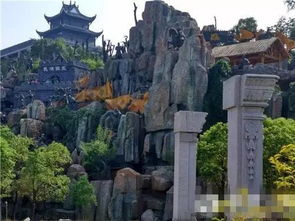 亲子游的首选：莲花山带你发现自然的奇妙