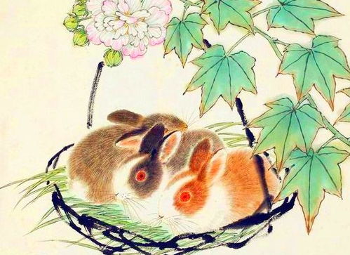 披荆斩棘的动物生肖是蛇，为长尾可依是：长尾的蛇，为何被称为披荆斩棘的生肖？