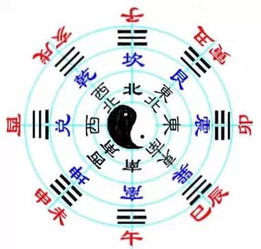 风水师韦昭尤的点穴实例有哪些，能否详细介绍一下？