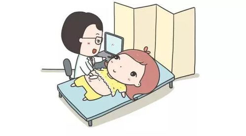 六、 不懂就问——家人朋友支持的十分沉关键性