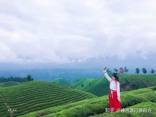 4-7月：春末夏初,杜鹃花开,气温20℃+
