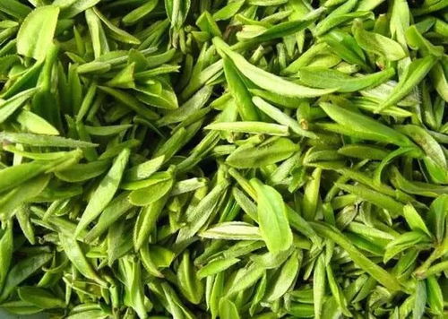 黄山毛峰：绿茶中的精品