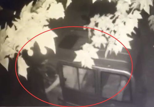 深厚夜的寂静