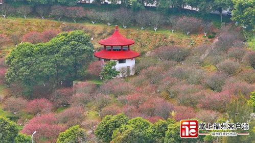 福州寿山网红打卡景点有哪些,福州寿山风水好吗