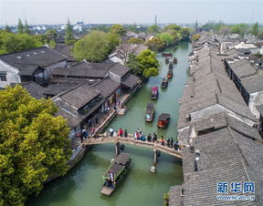 惯与那些“江南范儿”的小玩意儿