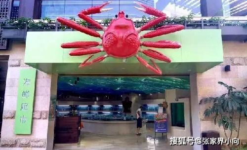 情感冲击波——当舌尖遇见心跳 🔥❤️‍🔥💔💘😍🤯🤪🙃😂🤣😭😱🙀🤮😴😶‍🌫️👻👽👾🤖🎃🎄🎆🎇✨⭐︎★☆★☆✪✫