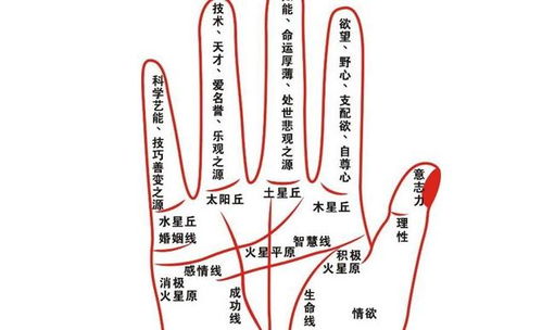 手相里那条神秘的三才纹到底是个啥子玩意儿？