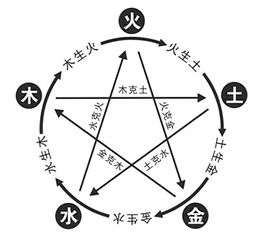 金木水火土大乱斗