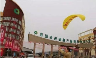 这价格，真的假的？周一到周五去洛阳龙华欢乐园门票只要XX元，这样的亲子游性价比高吗？