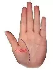 易经中是否提及手相，手相学中的八卦如何解读？