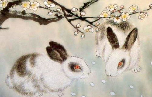 1975年属兔人十月感情运势如何，具体运势分析是什么？