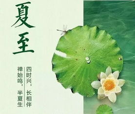 千年夏至韵，传承爆款风