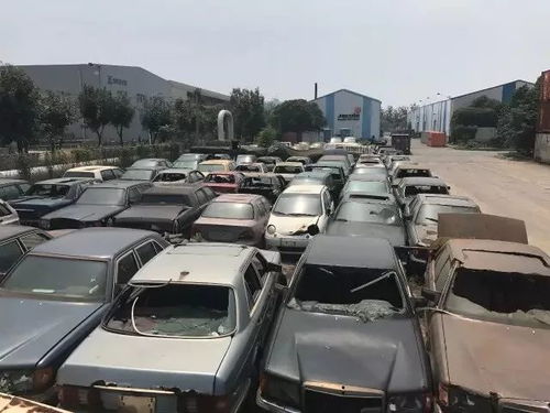 博物馆真相：豪车坟场还是智商税屠宰场？