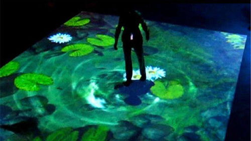 蝴蝶飞来飞去到底有啥玄机？看完这篇你就懂了！