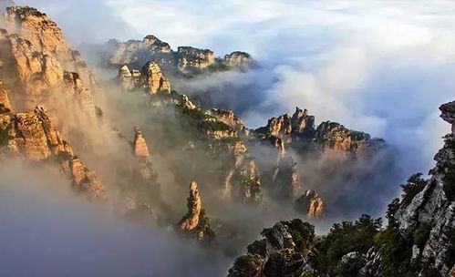 交通指南：一场噩梦的开始