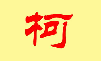 1. 柯姓女孩为哪些值得被特别对待？