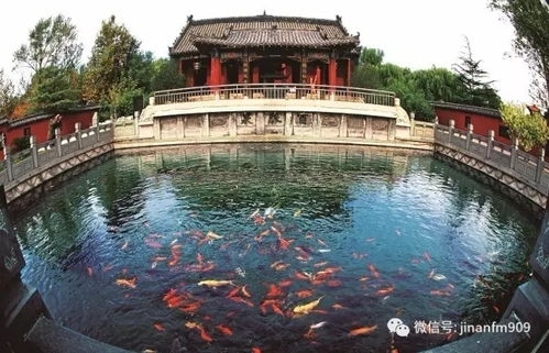 路上的风景与心情：从兴奋到崩溃再到期待