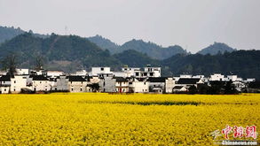 一、为什么要去凤翔？（其实也可依不去）