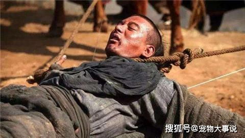 冤屈与复仇