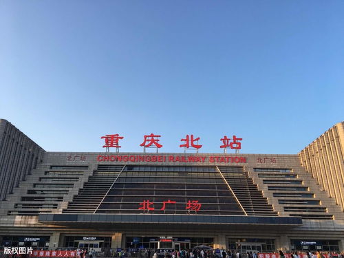 真实实案例：旅行者的经验分享