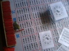 灵鸟叼签解密方法靠谱吗？真的可信吗？揭秘其真实效果和可信度。