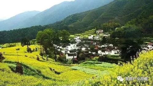 深度游玩指南：如何在董岭虚度光阴