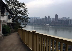 什刹海：老北京的风情