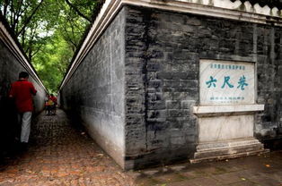 商周遗址的旅行魅力