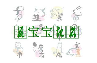 名字的力量：字的选择与孩子的今后
