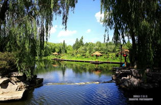 百脉泉公园， 一隅祥和
