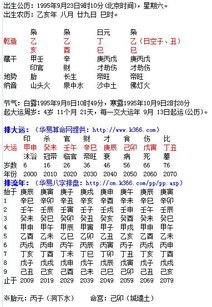 如何根据从旺格八字分析，调整八字喜忌以优化运势？