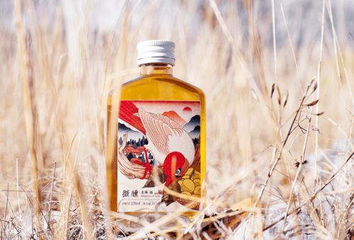 一、 命名之路：从传统方式到现代化的情感碰撞
