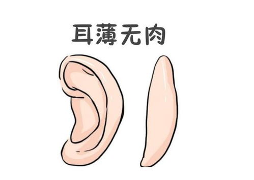 1. 眼神：锋芒毕露的警惕