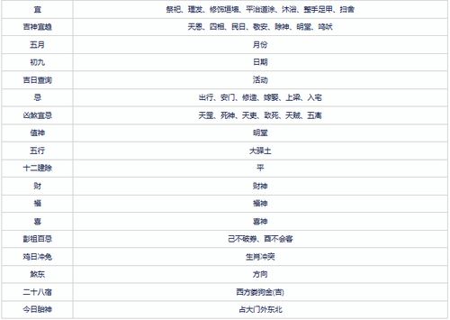 1. 先说2024年11月5日能不能整手足甲？