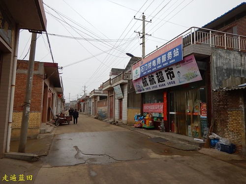 早市里的喧哗与宁静交错