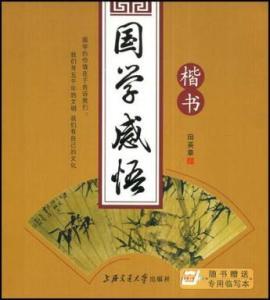 情感陪伴？不如养只猫