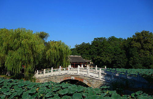 人文历史