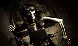 风水局里的惊天秘密