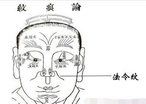 一、天庭饱满地阁方圆富贵荣华不用愁