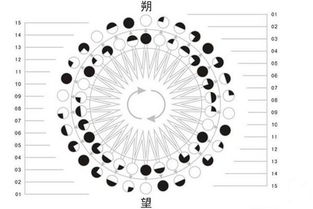 二、闰月的神秘出现——它真的会跑出来吗？