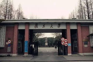 大学路的小破巷子