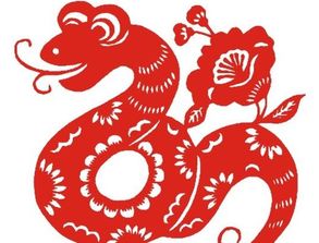 2026年己巳蛇年出生的人是什么命，这个命理含义是什么？