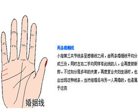 手相能看出一个人会经历几段婚姻吗？
